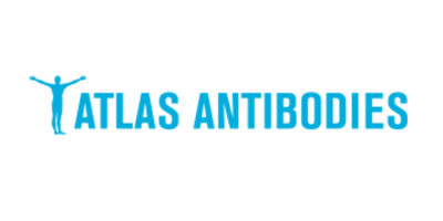 Atlas Antibodies